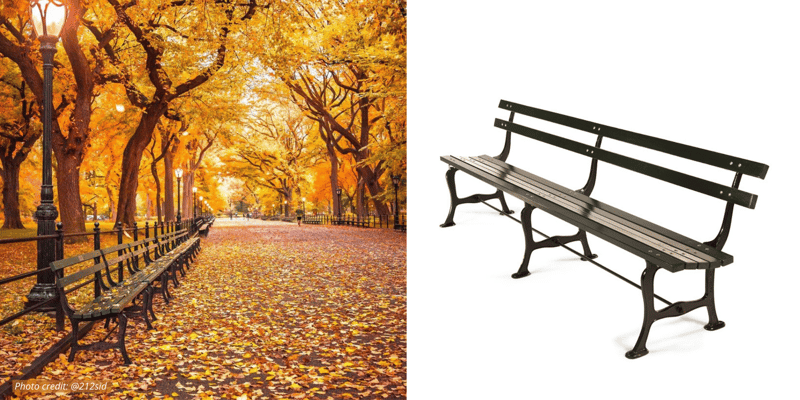 10 Favorite Scenes of Park Benches in Autumn preview 2